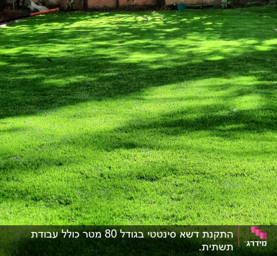 דשא ירוק עם צללים ועצים ברקע